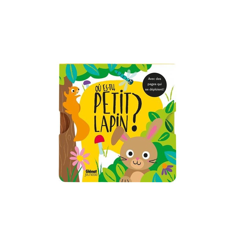 Livre Où es-tu petit lapin?...