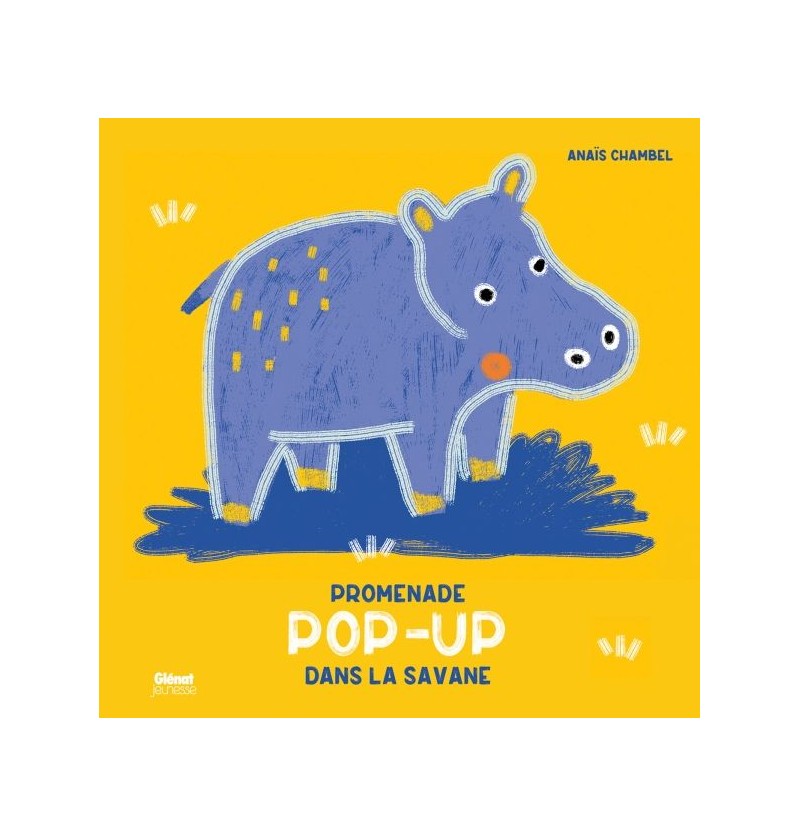 Livre Promenade Pop-up dans...