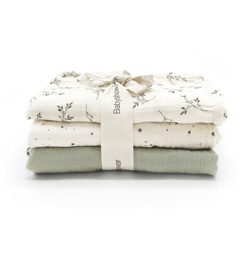 Lot de 3 tétras Olive Bloom...
