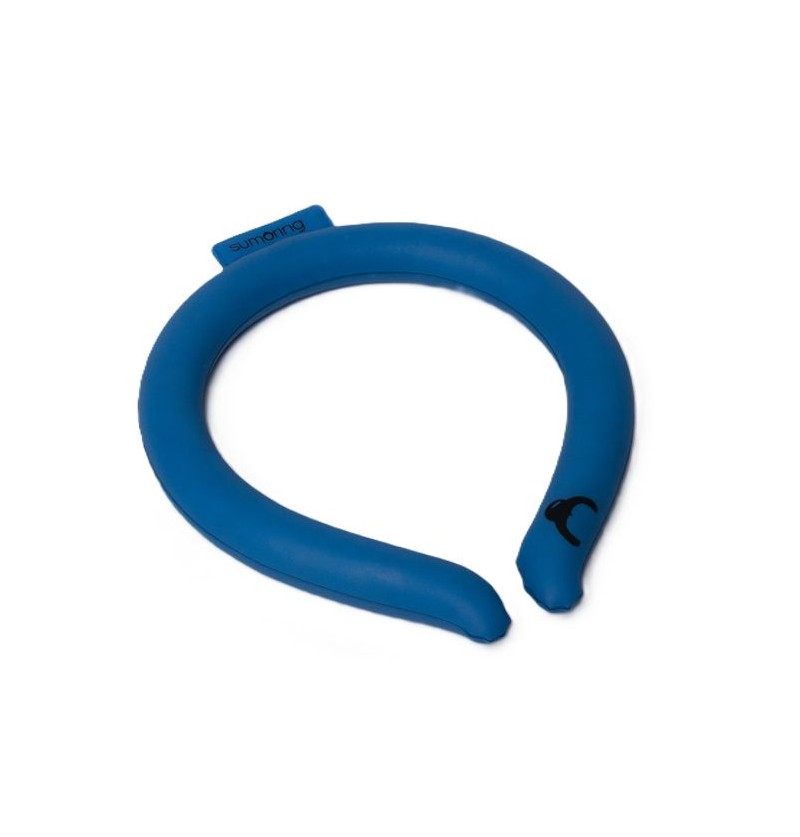 Collier Refroidissant  Bleu...