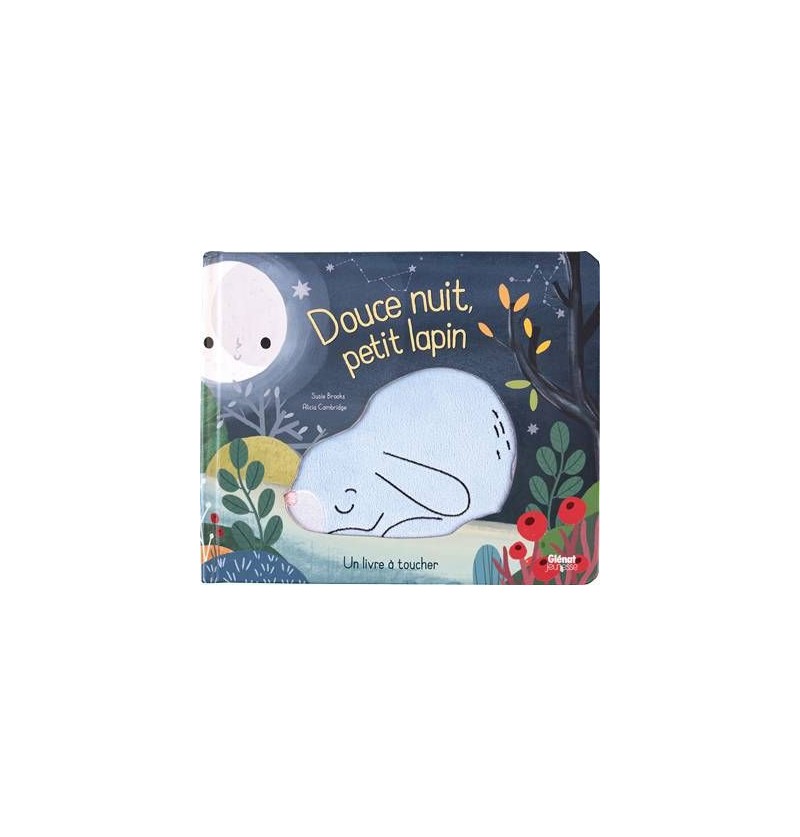Livre Douce Nuit Petit Lapin
