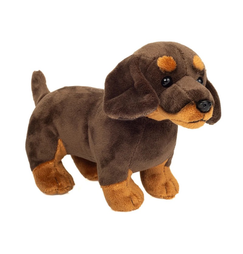Peluche Teckel Brun Teddy...