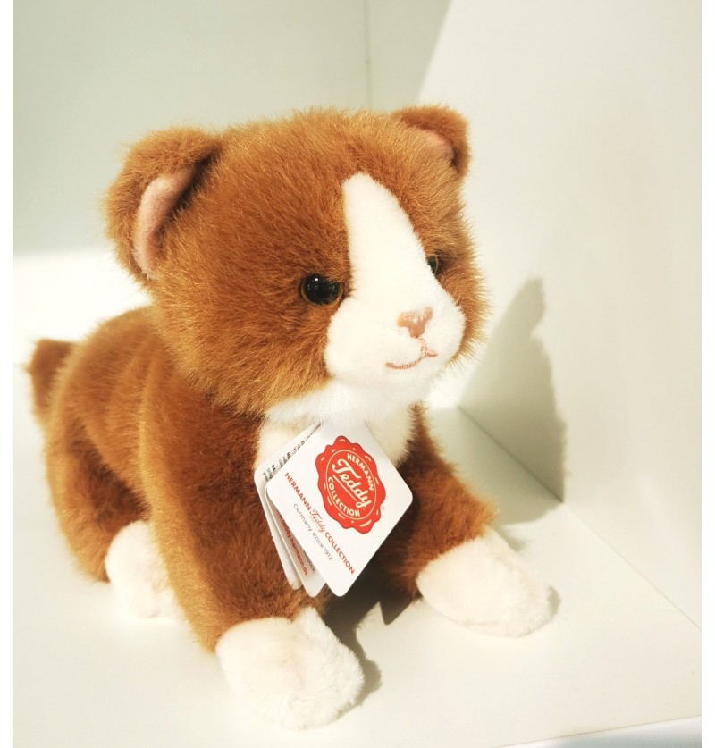 Peluche Cat Camel Teddy...