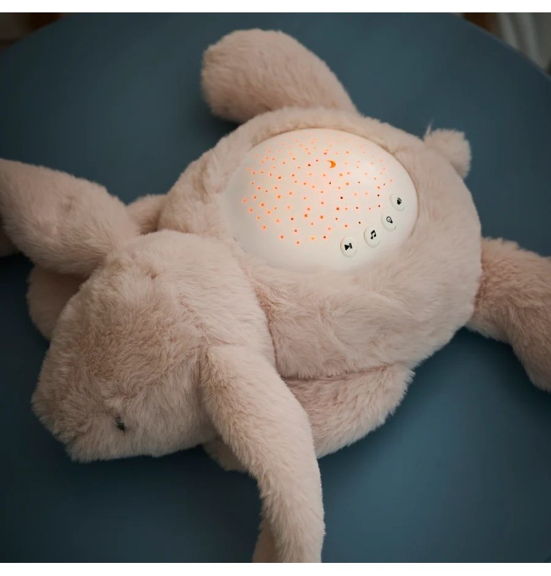 Veilleuse Lapidou Koala...