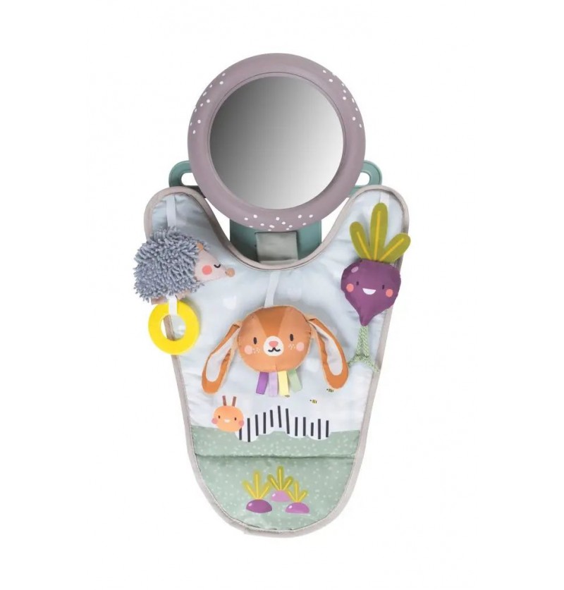 Jeu pour voiture tout en un...