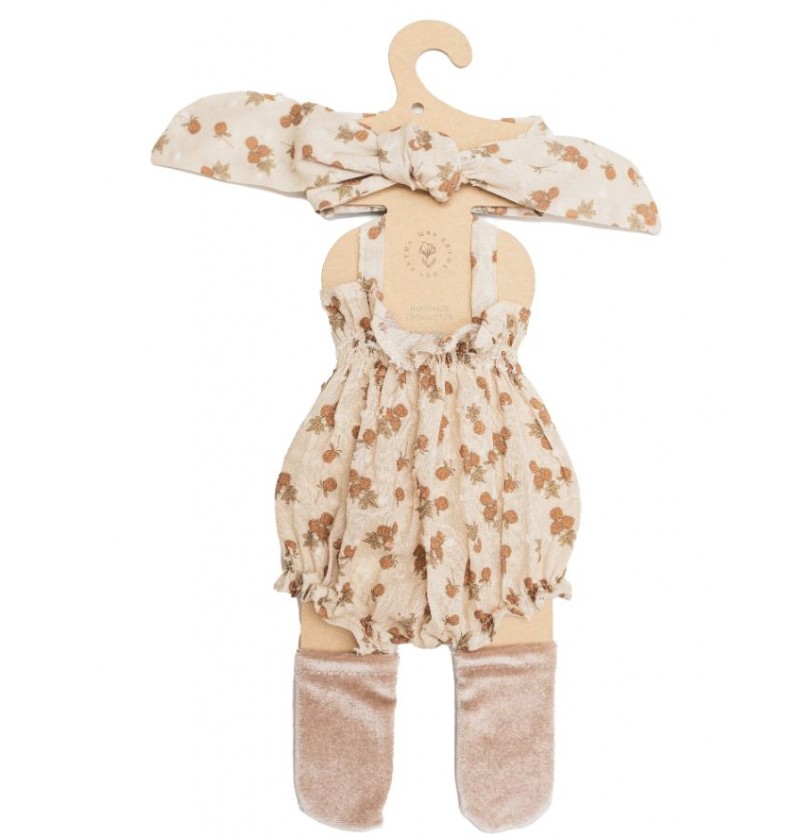 Ensemble Raspberry pour...