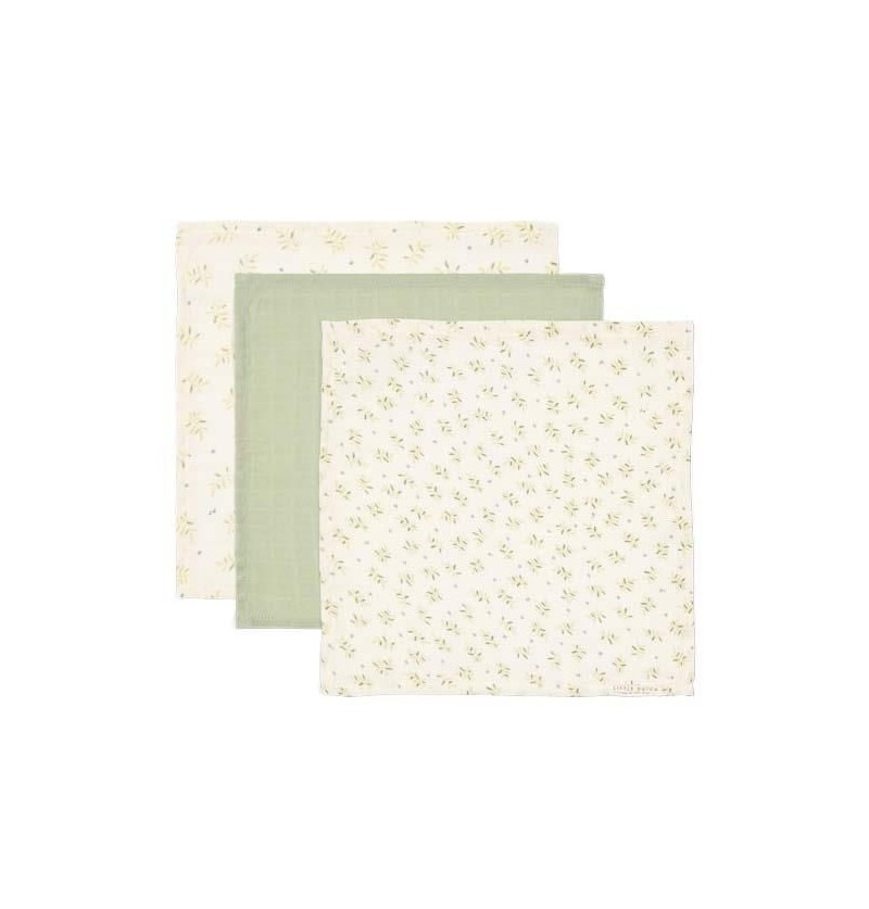 Lot de 3 tétras Vert...