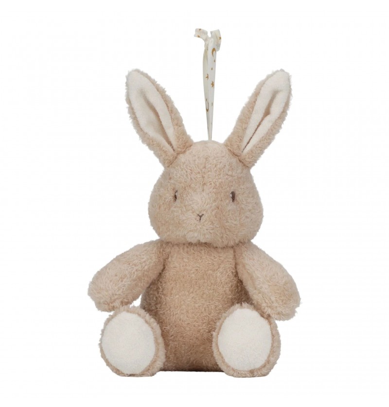 Lapin calin lumière et son...