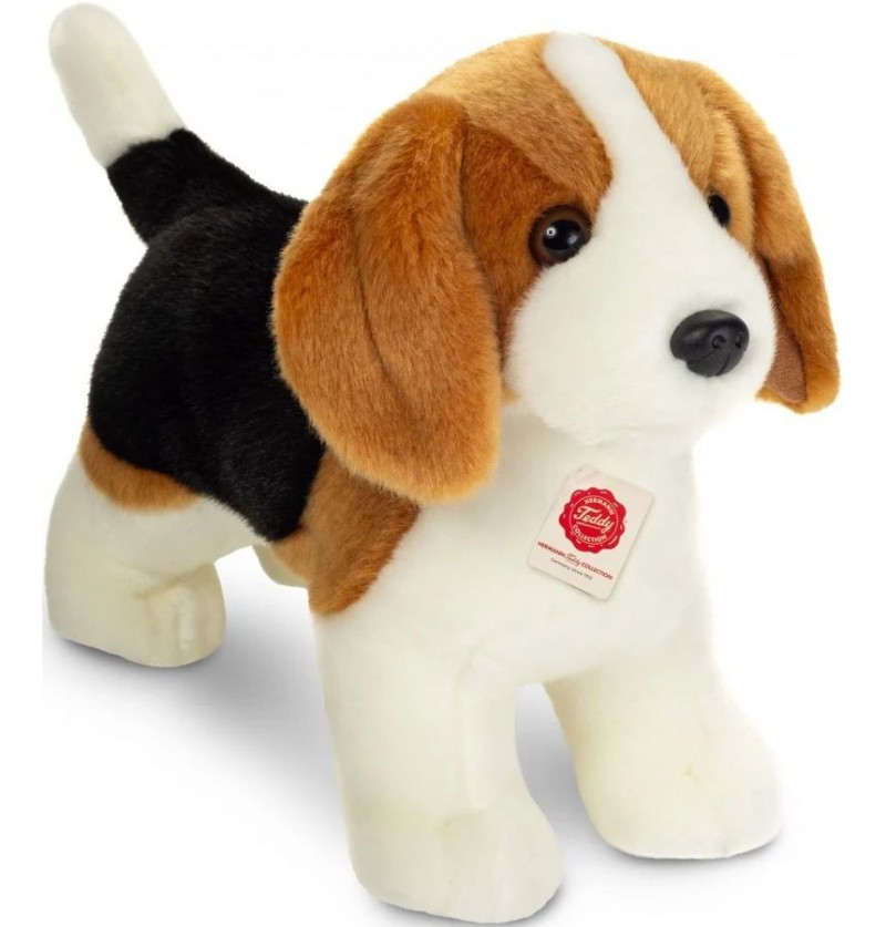 Peluche Chien Beagle Teddy...