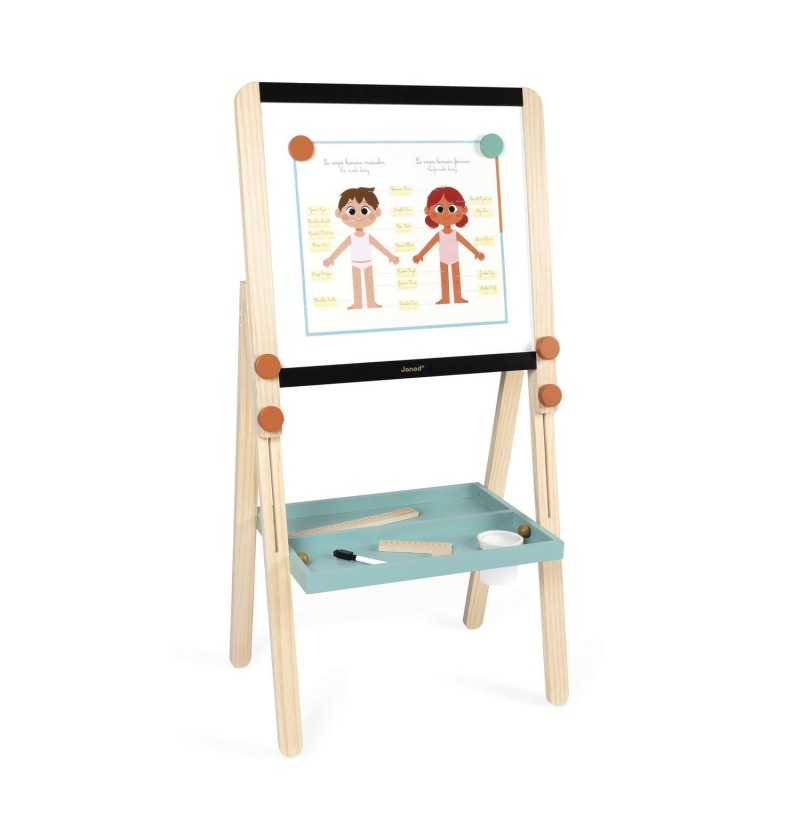 Tableau de la maîtresse Janod