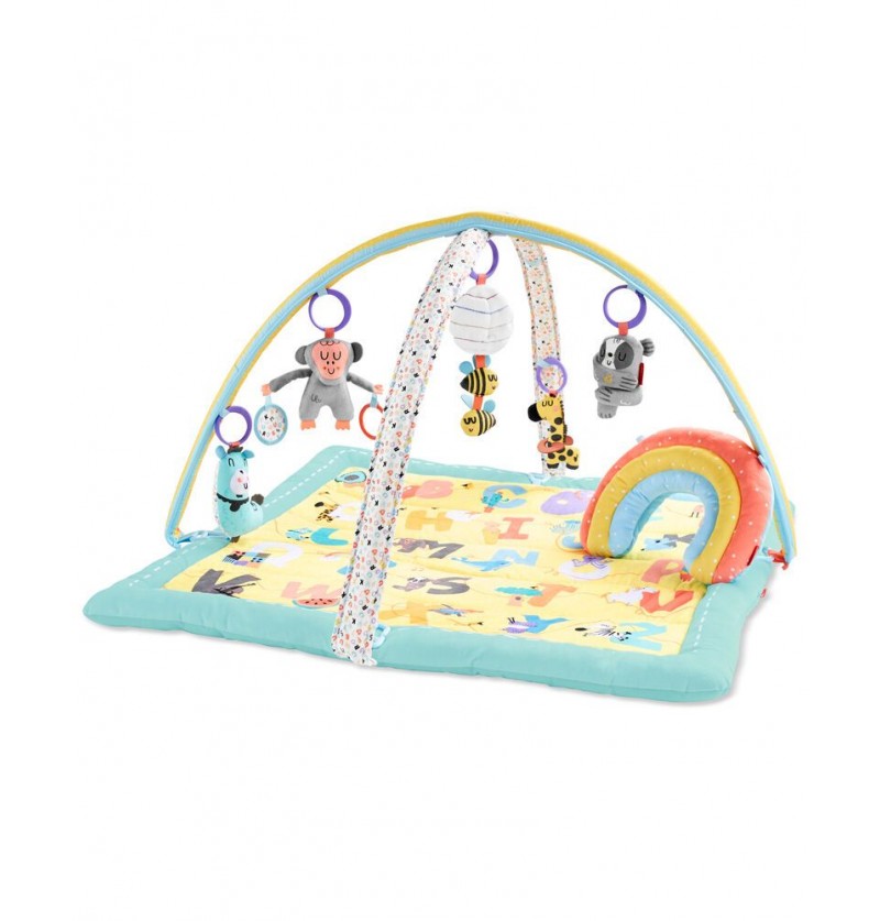Activity gym Skip Hop