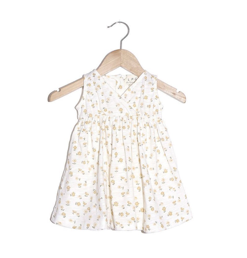 Robe Raquel L.P.C.