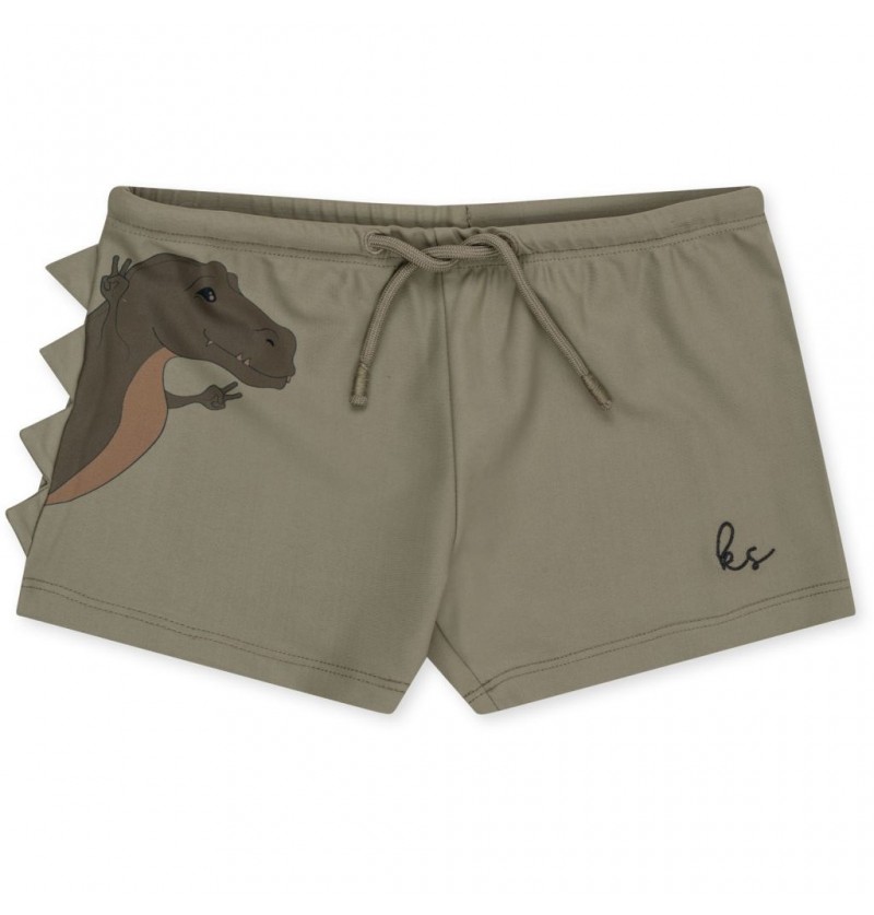 Maillot Aster Dino Overland...