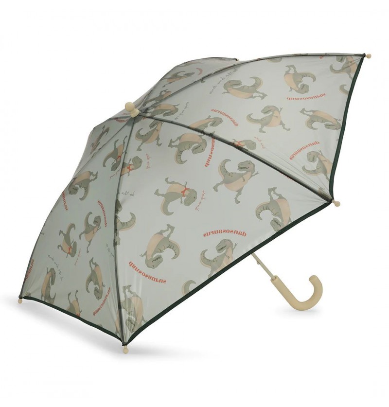 Parapluie Brume Dansosaurus...